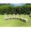 Bambo Painted Set of 6 Chairs 